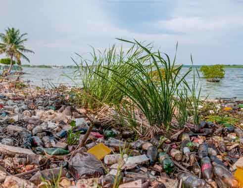 Excessive Pollution In Castries Harbour The Voice St Lucia News