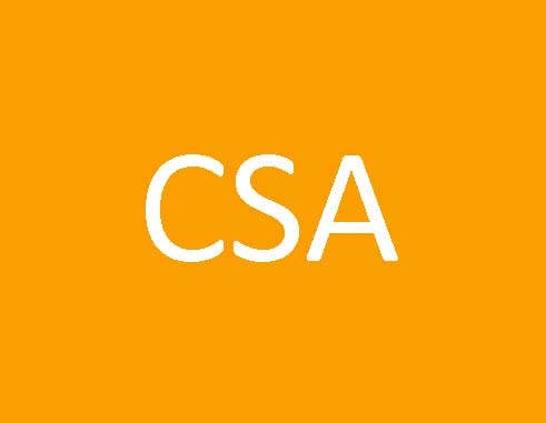 New appointees for CSA