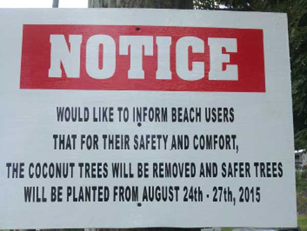 Laborie-Beach-Coconut-Trees
