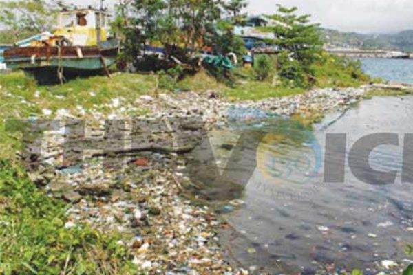 Plastic bottles and other debris items washed ashore near Tapion, Castries. [Photo: Stan Bishop]