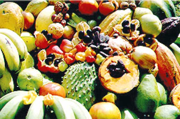 Image of fruits found in St. Lucia.
