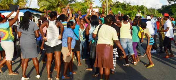 Image: Sammy and Charles are mobbed in the Mabouya Valley in Dennery.