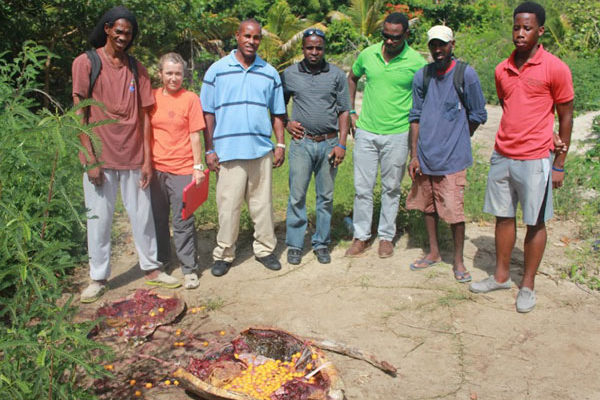img: The carcass of the slaughtered turtle. [Photo: Saint Lucia National Trust]