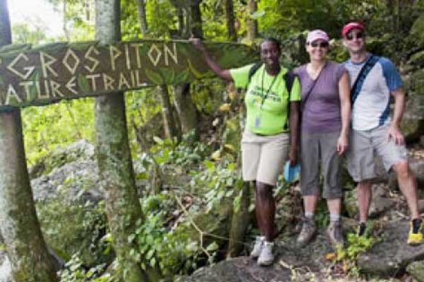 Image: The Gros Piton Nature trail