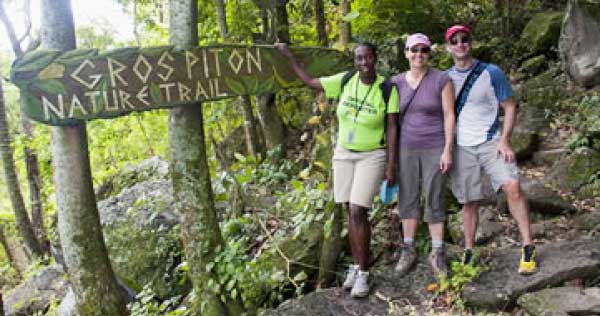 Image: The Gros Piton Nature trail