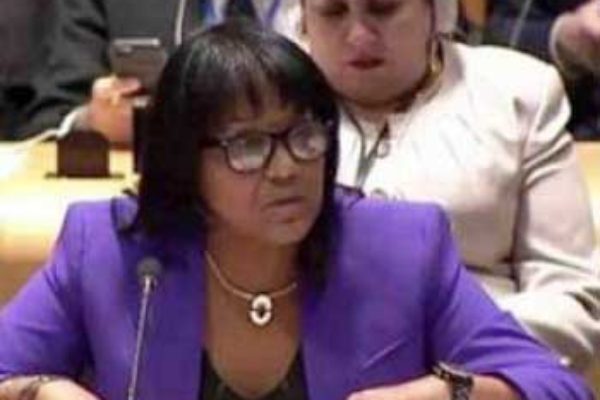 Image of Cuban Ambassador to the UN, Anayansi Rodríguez, denounced the current U.S. administration’s plans to tighten the economic, commercial and financial blockade, repeatedly condemned by the international community. (Photo: Cubaminrex)