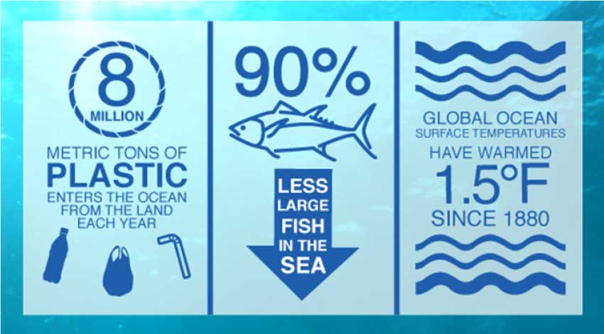 Image: 8 million metric tonnes of plastic enter the Ocean from the land each year.