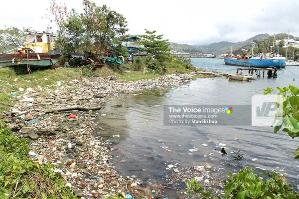 Image: Garbage accumulated in the Castries Harbour near Tapion. [PHOTO: Stan Bishop]