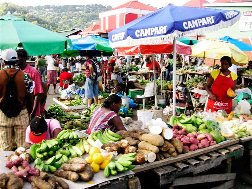 Image of The Castries Market