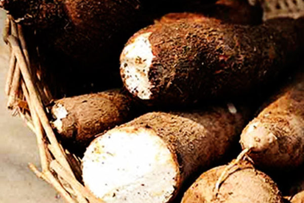 Cassava-Blended Bread