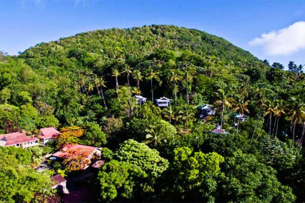 Image: Aerial Plantation House View