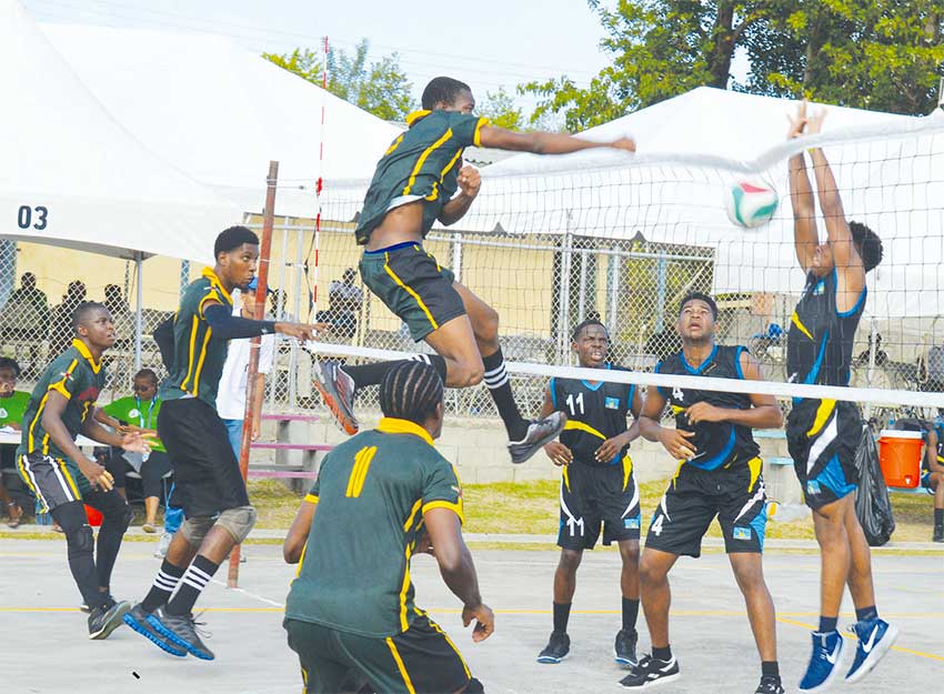 Image of some of the volleyball action between saint Lucia and Dominica