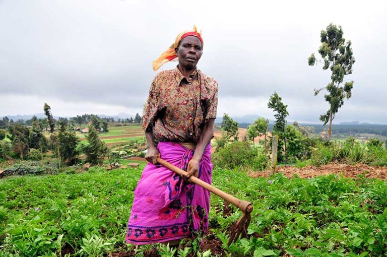 St. Lucia Rural Saint Lucia observed International Rural Women’s Day - The Voice St ...