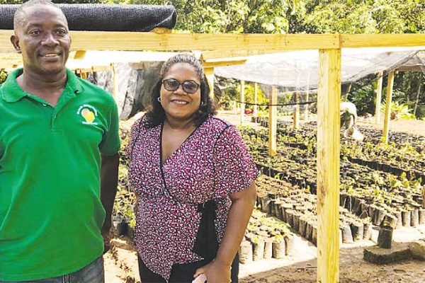 Image: Ms. Aretha Darcheville, IWEco St. Lucia National Project Coordinator and Mr. Alfred Prospere, Deputy Chief Forest Officer, visit the plant nursery in Fond St. Jacques.