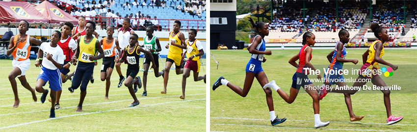 Image: (L-R) Some of the faces that will be on show at the various inter house sports meets leading to the northern and southern qualifiers in March. (PHOTO: Anthony De Beauville)