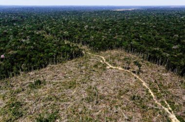 An aerial view shows deforested land in the southern region of the state of Amazonas, Brazil, July 27, 2017.