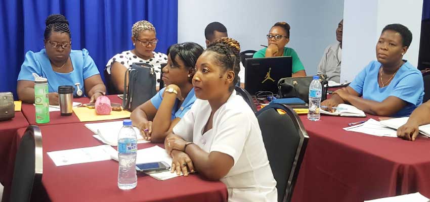 Image of Participants at the workshop on the soon to be implemented Perinatal Information System. 