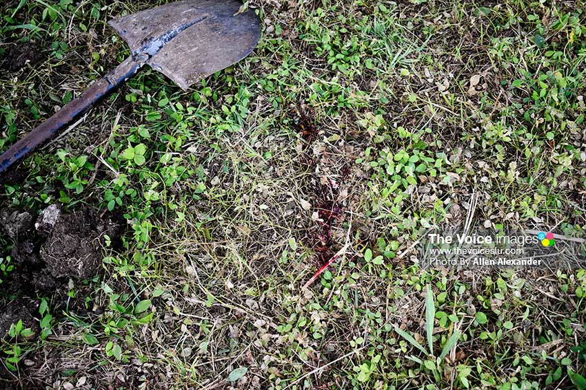 Image of a bloody trail after the injured man was taken to hospital via private vehicle