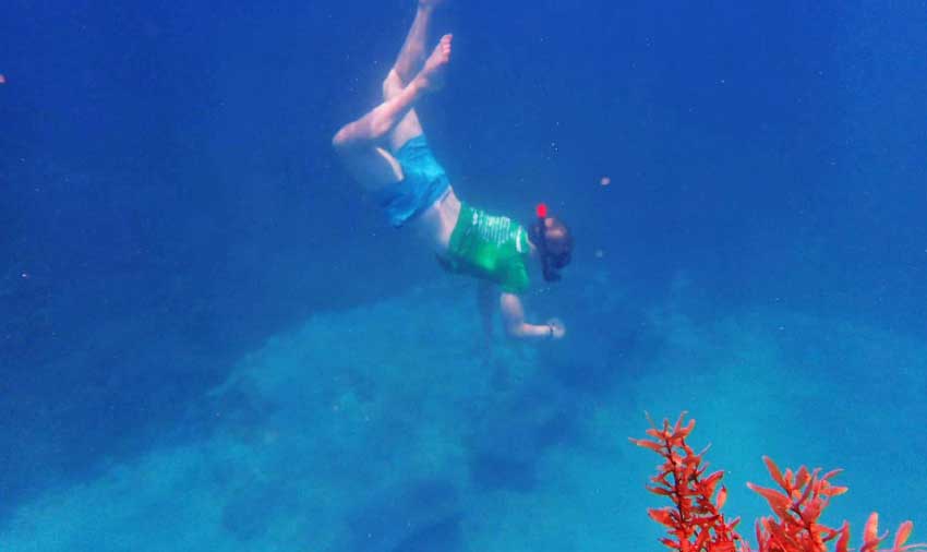 Image: Marine Biology student exploring the magic of the deep, blue sea. 
