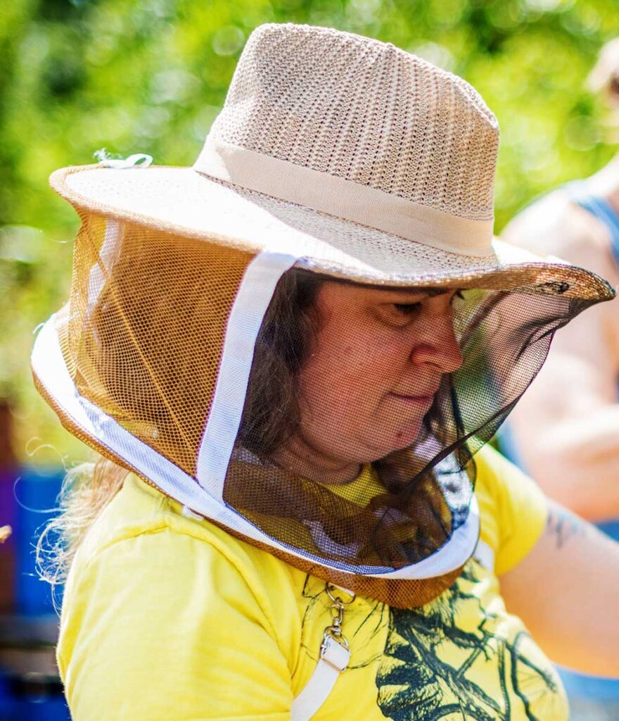 Saint Lucia to Host First Ever National Honey Show St. Lucia News