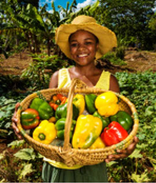 The Sandals Foundation will also be doubling efforts to increase the capacity of local producers and farmers in Grenada to develop and streamline the sale of value-added products in the agro-processing industry as part of its 40 for 40 Initiative.