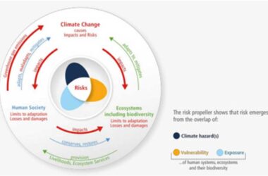 Figure: The Risk Propeller – interconnection between climate change, human society, and ecosystems, including biodiversity (Source: IPCC WGII Report 2022).