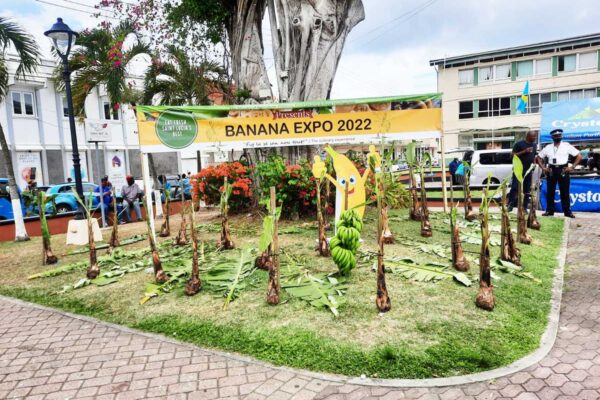 Banana Expo 2022