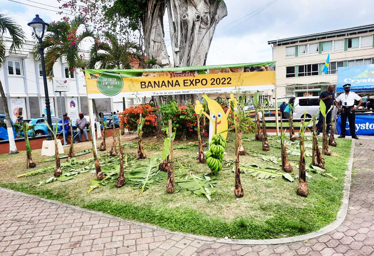 Banana Expo 2022