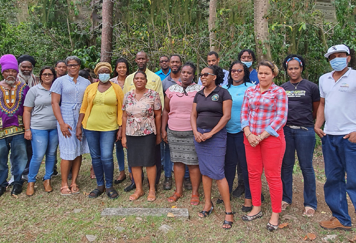 Saint Lucia takes steps to protect its forests - St. Lucia News From The Voice - Vimarsana News
