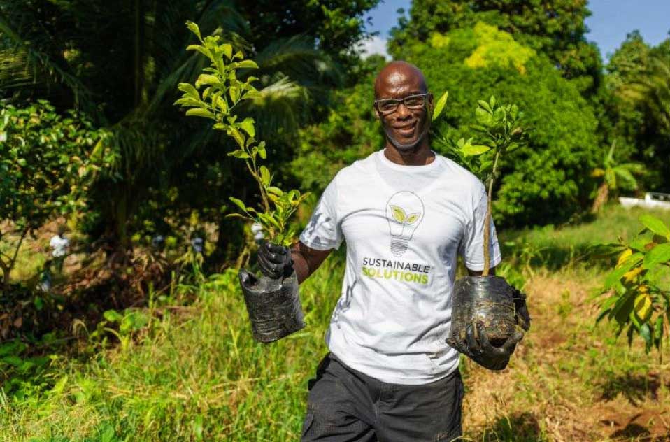 A BOSL employee with trees ready for planting.