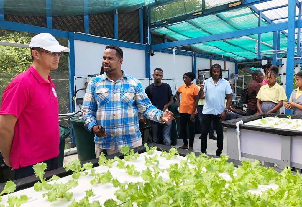 H.E. Peter Chia-Yen Chen, Taiwan’s Ambassador to Saint Lucia, (far left), converses with Mr. Merphilus James, President of the National Council of and for Persons with Disabilities (NCPD), (second from left), at the NCPD’s Aquaponics Facility based in Vieux Fort on Wednesday, December 20, 2023.