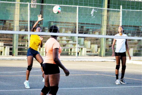 Young female volley ball players at training session