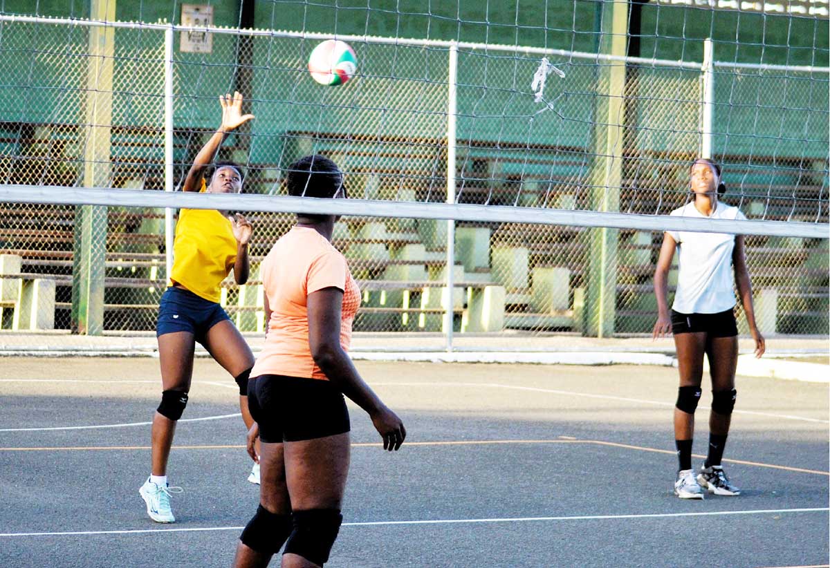 Young female volley ball players at training session