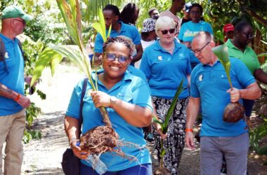 Participants involved in the tree-planting exercise