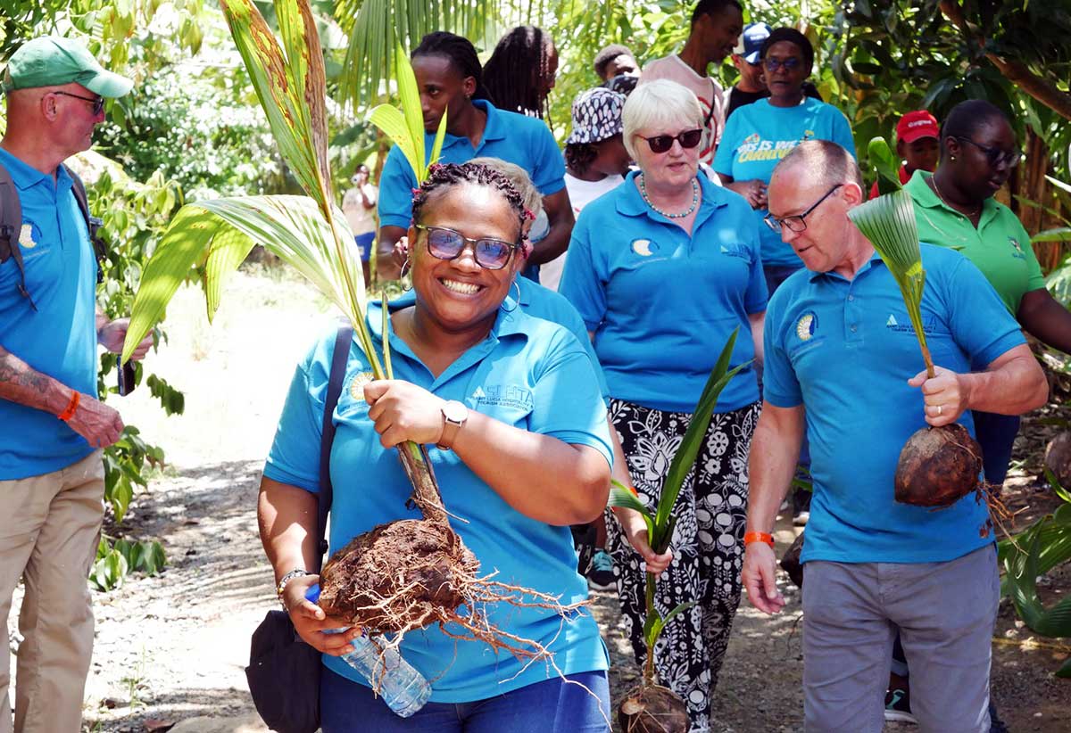 Participants involved in the tree-planting exercise