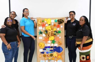 Barbadian crochet artisans hand over the completed exhibit to the Ministry of Agriculture. (l-r) Youth Representative Sade Blunte, Karen’s Touch BB Karen Roberts, Ministry of Agriculture Fisheries Biologist Makeba Felix, Elaine’s Caribbean Crochet Founder and Project Manager Nikisha Toppin, Essade Designs Evoyne Harewood.