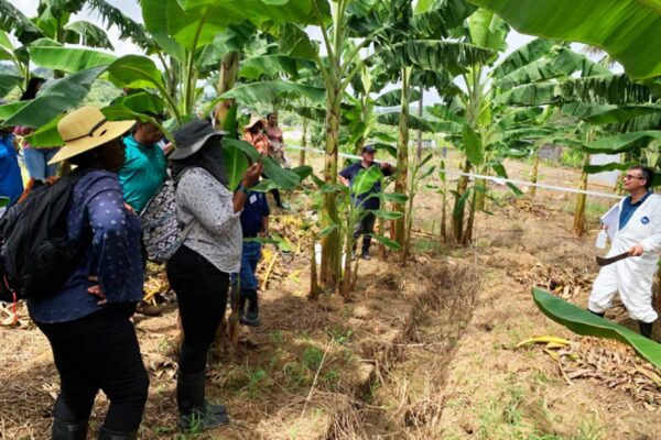 Training in the field