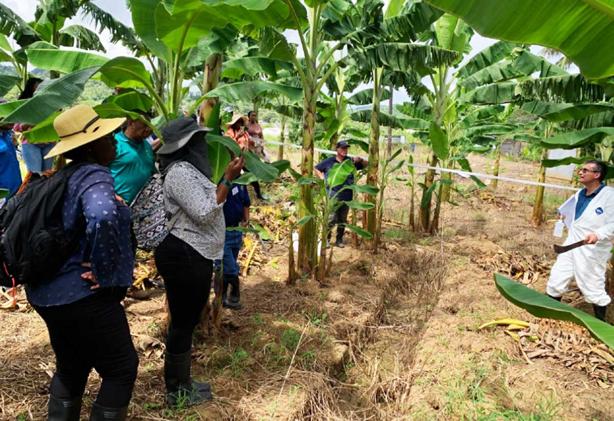 Training in the field