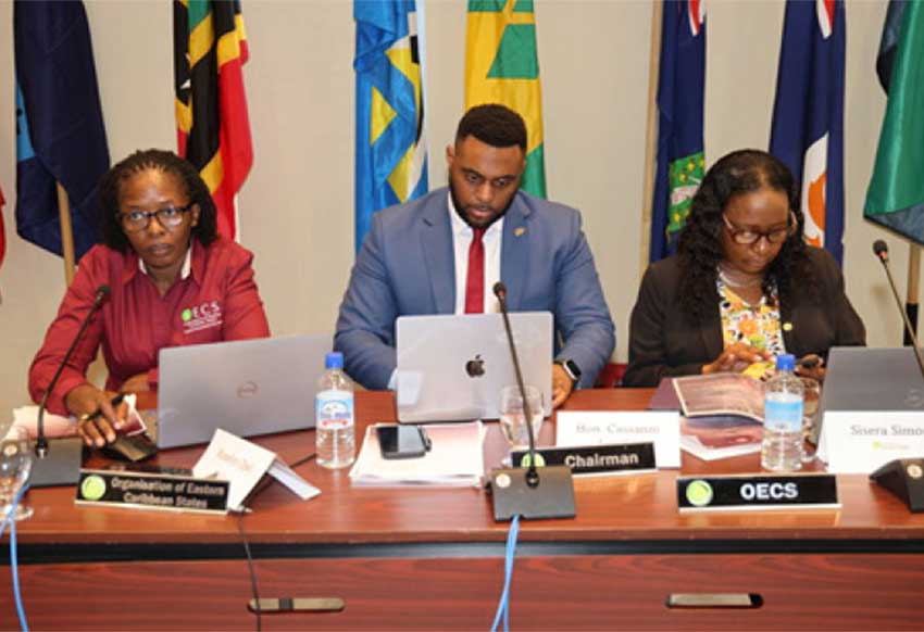 Attendees at the OECS Council of Ministers Health Meeting