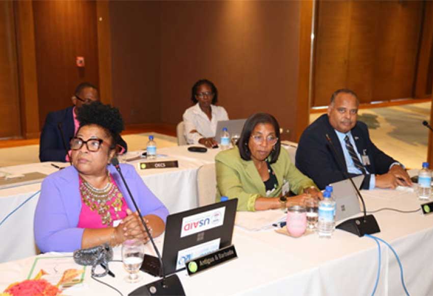 Attendees at the OECS Council of Ministers Health Meeting