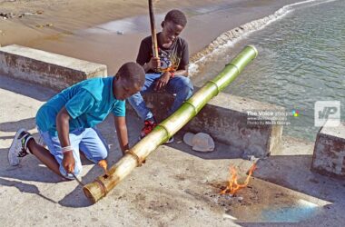 Bursting bamboo is a Saint Lucian tradition that marks the beginning of the Creole season. In the 1960s, 1970s and 1980s the practice was widespread with competition taking place among the bamboo busters as to who could get the loudest sound from the bamboo.