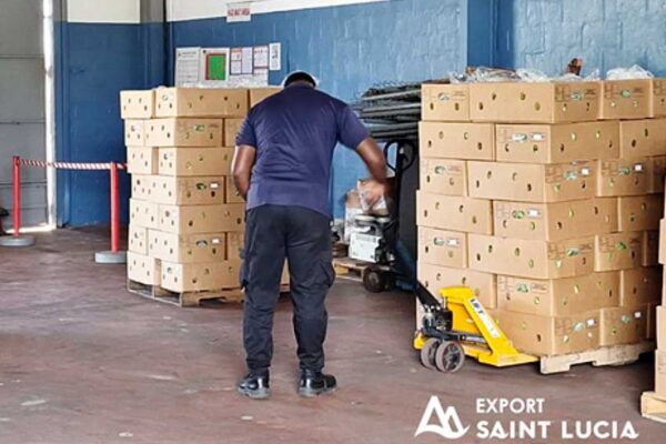 Export Saint Lucia has been pivotal in assisting farmers to distribute their produce