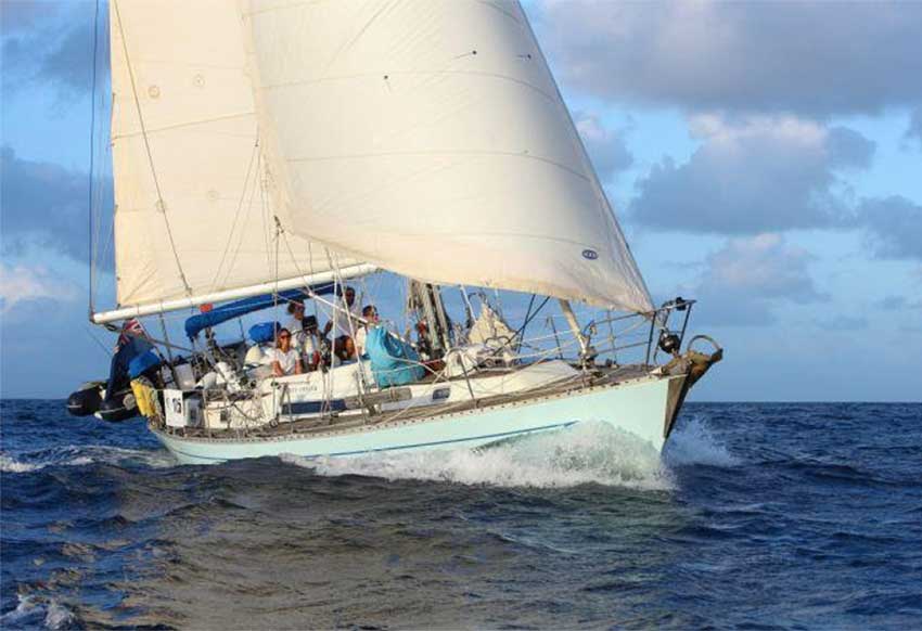 Penny Oyster (GBR) crosses the line in Saint Lucia at the end of ARC 2023 – [credit Tim Wright Photoaction]