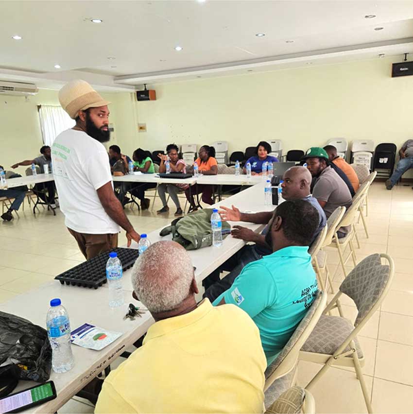 Mr. Edward Wilson, Production Officer, standing at far left, sharing information with participants at the informative seedless watermelon training workshop on Thursday, February 27, 2025