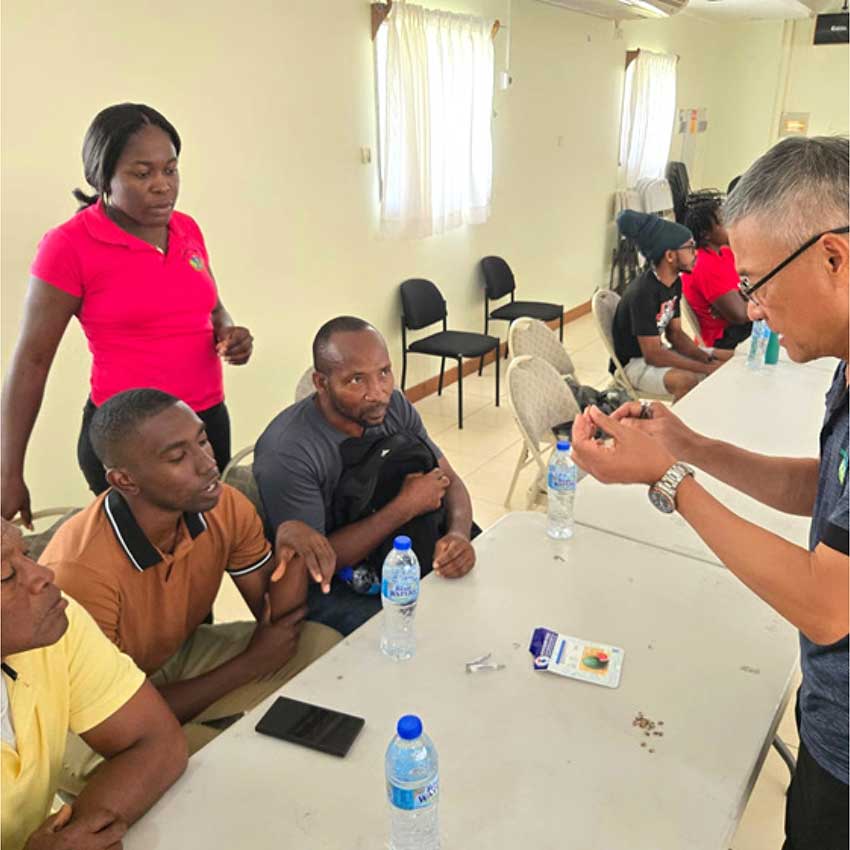 Mr. Johnson Yang, Senior Specialist in the Production Unit under the Seven Crops Project, standing at far right, engages participants at the informative seedless watermelon training workshop on Thursday, February 27, 2025