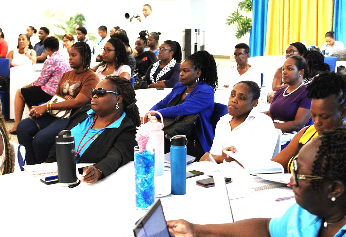 Participant at the MICS event.