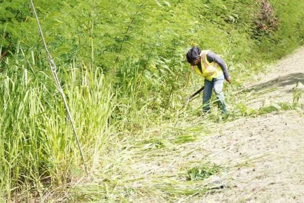 STEP workers involved in community cleanup project
