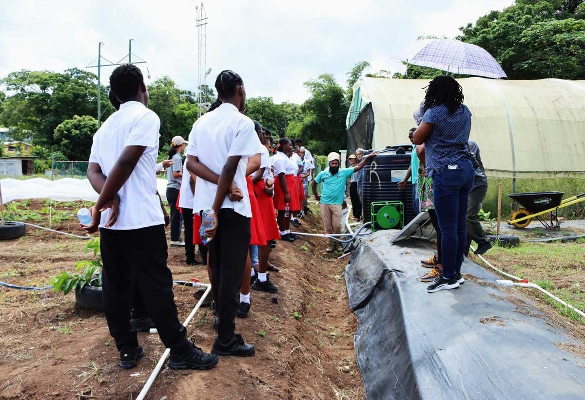 Mr. Edward Wilson, Production Officer with the Seven Crops Project, in centre, demonstrates to extension officers and students how the solar water pumps are used to irrigate the farm.