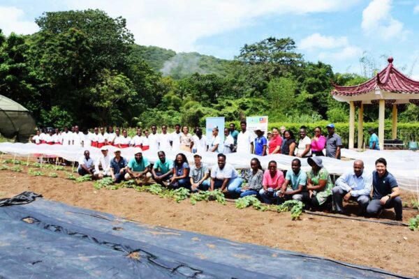 Officials from the CCMRV Hub and Taiwan Technical Mission, extension officers, and students from Castries Comprehensive Secondary School and Corinth Secondary School