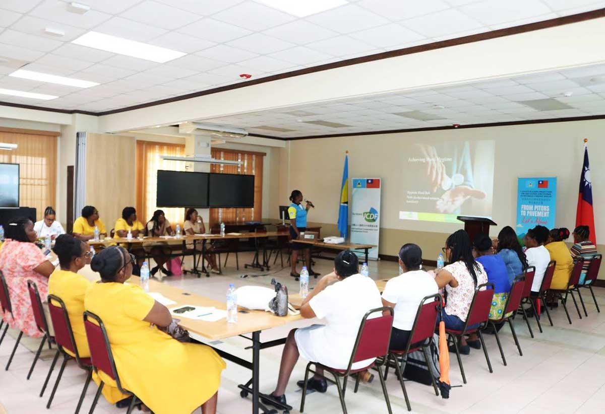 One of the facilitators delivering a PowerPoint presentation to the participants at the training workshop.